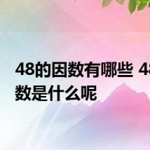 48的因数有哪些 48的因数是什么呢