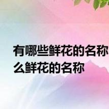 有哪些鲜花的名称 有什么鲜花的名称