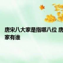 唐宋八大家是指哪八位 唐宋八大家有谁