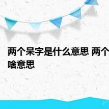 两个呆字是什么意思 两个呆字是啥意思