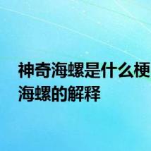 神奇海螺是什么梗 神奇海螺的解释