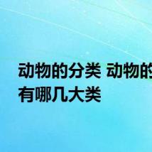动物的分类 动物的分类有哪几大类
