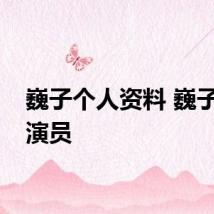 巍子个人资料 巍子一级演员