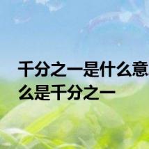 千分之一是什么意思 什么是千分之一