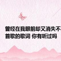 曾经在我眼前却又消失不见是哪首歌的歌词 你有听过吗