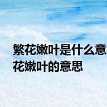 繁花嫩叶是什么意思 繁花嫩叶的意思