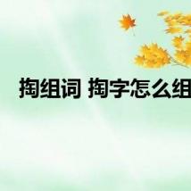 掏组词 掏字怎么组词