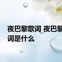 夜巴黎歌词 夜巴黎的歌词是什么