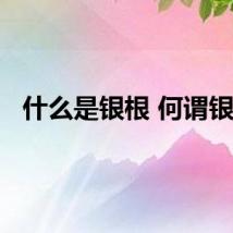 什么是银根 何谓银根