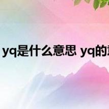 yq是什么意思 yq的意思