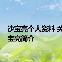 沙宝亮个人资料 关于沙宝亮简介