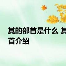 其的部首是什么 其的部首介绍