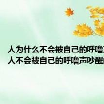 人为什么不会被自己的呼噜声吵醒 人不会被自己的呼噜声吵醒的原因