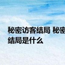 秘密访客结局 秘密访客结局是什么