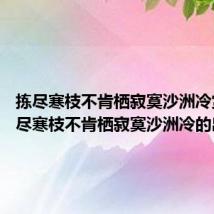 拣尽寒枝不肯栖寂寞沙洲冷赏析 拣尽寒枝不肯栖寂寞沙洲冷的出处