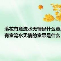 落花有意流水无情是什么意思 落花有意流水无情的意思是什么