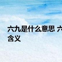 六九是什么意思 六九的含义