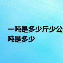 一吨是多少斤少公斤 一吨是多少