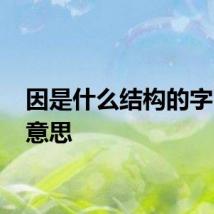 因是什么结构的字 因的意思