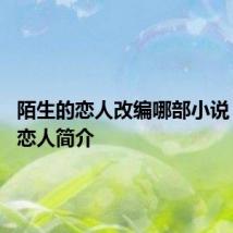 陌生的恋人改编哪部小说 陌生的恋人简介