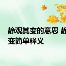 静观其变的意思 静观其变简单释义
