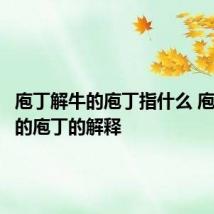 庖丁解牛的庖丁指什么 庖丁解牛的庖丁的解释