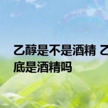 乙醇是不是酒精 乙醇到底是酒精吗