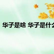 华子是啥 华子是什么梗
