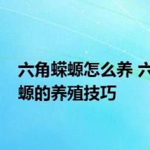 六角蝾螈怎么养 六角蝾螈的养殖技巧