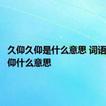 久仰久仰是什么意思 词语久仰久仰什么意思