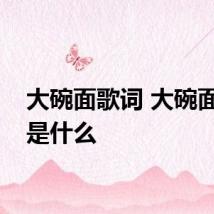 大碗面歌词 大碗面歌词是什么