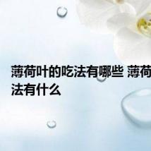 薄荷叶的吃法有哪些 薄荷叶的吃法有什么