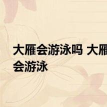 大雁会游泳吗 大雁会不会游泳