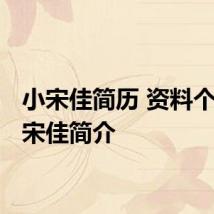 小宋佳简历 资料个人 小宋佳简介