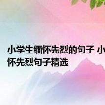 小学生缅怀先烈的句子 小学生缅怀先烈句子精选