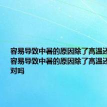 容易导致中暑的原因除了高温还有什么 容易导致中暑的原因除了高温还有高湿度对吗