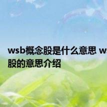 wsb概念股是什么意思 wsb概念股的意思介绍
