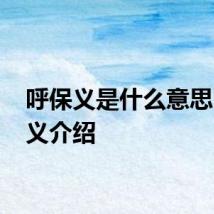 呼保义是什么意思 呼保义介绍