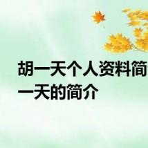 胡一天个人资料简介 胡一天的简介