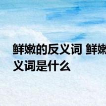 鲜嫩的反义词 鲜嫩的反义词是什么