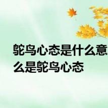 鸵鸟心态是什么意思 什么是鸵鸟心态