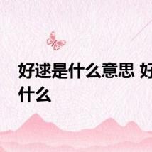 好逑是什么意思 好逑指什么