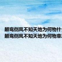 颠鸾倒凤不知天地为何物什么意思 颠鸾倒凤不知天地为何物意思解析