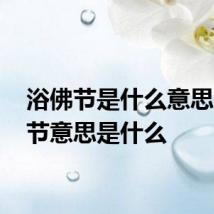 浴佛节是什么意思 浴佛节意思是什么