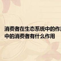 消费者在生态系统中的作用 生物中的消费者有什么作用