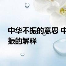 中华不振的意思 中华不振的解释