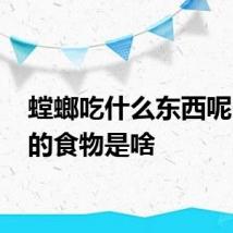 螳螂吃什么东西呢 螳螂的食物是啥