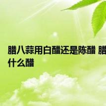 腊八蒜用白醋还是陈醋 腊八蒜用什么醋