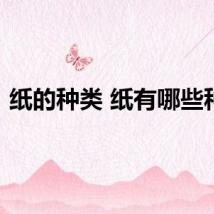 纸的种类 纸有哪些种类