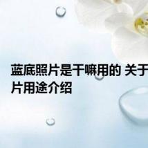蓝底照片是干嘛用的 关于蓝底照片用途介绍
